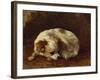 A Papillon-Henriette Ronner-Knip-Framed Giclee Print