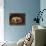 A Papillon-Henriette Ronner-Knip-Mounted Giclee Print displayed on a wall