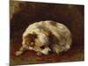 A Papillon-Henriette Ronner-Knip-Mounted Giclee Print