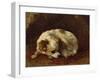 A Papillon-Cecil Aldin-Framed Giclee Print