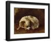 A Papillon-Cecil Aldin-Framed Giclee Print