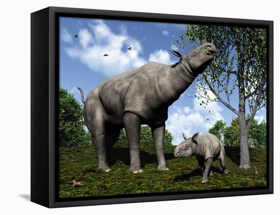 A Paraceratherium Mother Grazes on Leaves and Twigs of a Poplar Tree-Stocktrek Images-Framed Stretched Canvas