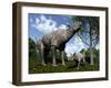 A Paraceratherium Mother Grazes on Leaves and Twigs of a Poplar Tree-Stocktrek Images-Framed Photographic Print