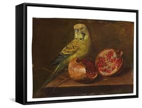 A Parakeet and a Pomegranate on a Ledge (Oil on Copper)-French School-Framed Stretched Canvas
