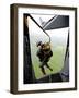 A Paratrooper Executes An Airborne Jump Out of a C-17 Globemaster III-Stocktrek Images-Framed Photographic Print