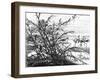 A Parliament of Birds on the Lake Menaleh, 1880-Wilhelm Gentz-Framed Giclee Print