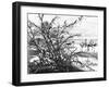 A Parliament of Birds on the Lake Menaleh, 1880-Wilhelm Gentz-Framed Giclee Print