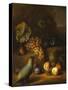 A Parrot with Grapes, Peaches and Plums in a Landscape-Tobias Stranover-Stretched Canvas