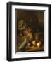 A Parrot with Grapes, Peaches and Plums in a Landscape-Tobias Stranover-Framed Giclee Print