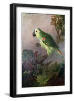 A Parrot-Jakob Bogdani Or Bogdany-Framed Giclee Print