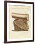 A Part of a Excavated Elephant Tusk Weapon-null-Framed Giclee Print