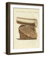 A Part of a Excavated Elephant Tusk Weapon-null-Framed Giclee Print