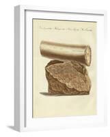 A Part of a Excavated Elephant Tusk Weapon-null-Framed Giclee Print