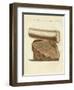 A Part of a Excavated Elephant Tusk Weapon-null-Framed Giclee Print