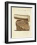 A Part of a Excavated Elephant Tusk Weapon-null-Framed Giclee Print