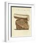 A Part of a Excavated Elephant Tusk Weapon-null-Framed Giclee Print