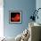 A Partial Solar Eclipse from Space-null-Framed Photographic Print displayed on a wall