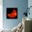 A Partial Solar Eclipse from Space-null-Photographic Print displayed on a wall