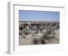 A party of Bedouin leading their camels in the desert-Werner Forman-Framed Giclee Print