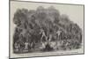 A Party of Church Missionaries, Conducted by Native Guides, Passing a Swamp in New Zealand-null-Mounted Giclee Print