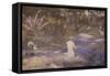 A Pastoral-John Reinhard Weguelin-Framed Stretched Canvas