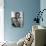 A Patch of Blue, Sidney Poitier, 1965-null-Mounted Photo displayed on a wall
