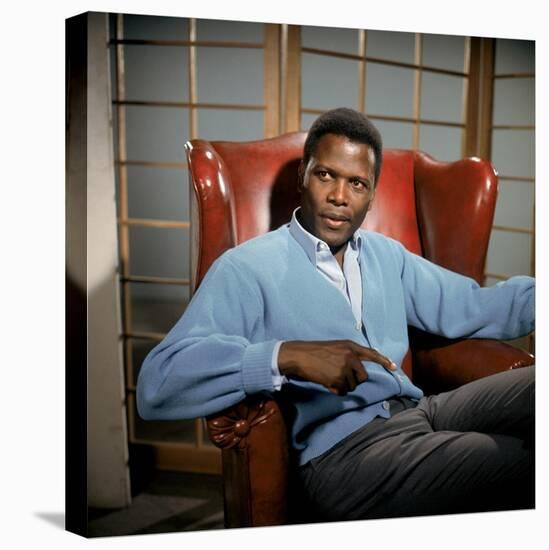 A Patch Of Blue, Sidney Poitier, 1965-null-Stretched Canvas