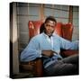 A Patch Of Blue, Sidney Poitier, 1965-null-Stretched Canvas