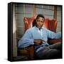 A Patch Of Blue, Sidney Poitier, 1965-null-Framed Stretched Canvas