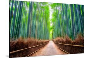 A path winds through an ancient bamboo forest in Kyoto, Japan, Asia-Logan Brown-Stretched Canvas