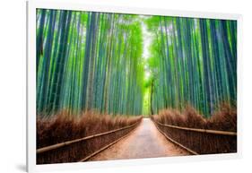 A path winds through an ancient bamboo forest in Kyoto, Japan, Asia-Logan Brown-Framed Photographic Print