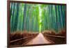 A path winds through an ancient bamboo forest in Kyoto, Japan, Asia-Logan Brown-Framed Photographic Print