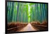 A path winds through an ancient bamboo forest in Kyoto, Japan, Asia-Logan Brown-Framed Photographic Print