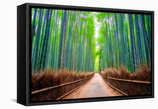 A path winds through an ancient bamboo forest in Kyoto, Japan, Asia-Logan Brown-Framed Stretched Canvas