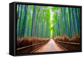 A path winds through an ancient bamboo forest in Kyoto, Japan, Asia-Logan Brown-Framed Stretched Canvas
