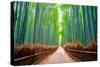 A path winds through an ancient bamboo forest in Kyoto, Japan, Asia-Logan Brown-Stretched Canvas