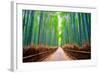 A path winds through an ancient bamboo forest in Kyoto, Japan, Asia-Logan Brown-Framed Photographic Print