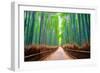 A path winds through an ancient bamboo forest in Kyoto, Japan, Asia-Logan Brown-Framed Photographic Print