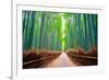 A path winds through an ancient bamboo forest in Kyoto, Japan, Asia-Logan Brown-Framed Photographic Print