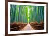 A path winds through an ancient bamboo forest in Kyoto, Japan, Asia-Logan Brown-Framed Photographic Print