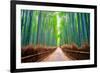 A path winds through an ancient bamboo forest in Kyoto, Japan, Asia-Logan Brown-Framed Photographic Print