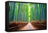 A path winds through an ancient bamboo forest in Kyoto, Japan, Asia-Logan Brown-Framed Stretched Canvas