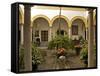 A Patio in the Alcazar, Seville, Andalusia, Spain, Europe-Guy Thouvenin-Framed Stretched Canvas