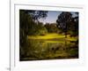 A Peaceful Rural Scene with Trees Lake, Green Grass and Blue Sky-Jody Miller-Framed Photographic Print