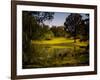 A Peaceful Rural Scene with Trees Lake, Green Grass and Blue Sky-Jody Miller-Framed Photographic Print
