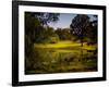 A Peaceful Rural Scene with Trees Lake, Green Grass and Blue Sky-Jody Miller-Framed Photographic Print