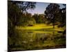 A Peaceful Rural Scene with Trees Lake, Green Grass and Blue Sky-Jody Miller-Mounted Photographic Print