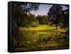 A Peaceful Rural Scene with Trees Lake, Green Grass and Blue Sky-Jody Miller-Framed Stretched Canvas