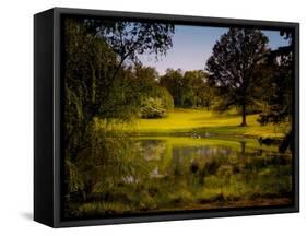 A Peaceful Rural Scene with Trees Lake, Green Grass and Blue Sky-Jody Miller-Framed Stretched Canvas