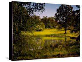 A Peaceful Rural Scene with Trees Lake, Green Grass and Blue Sky-Jody Miller-Stretched Canvas